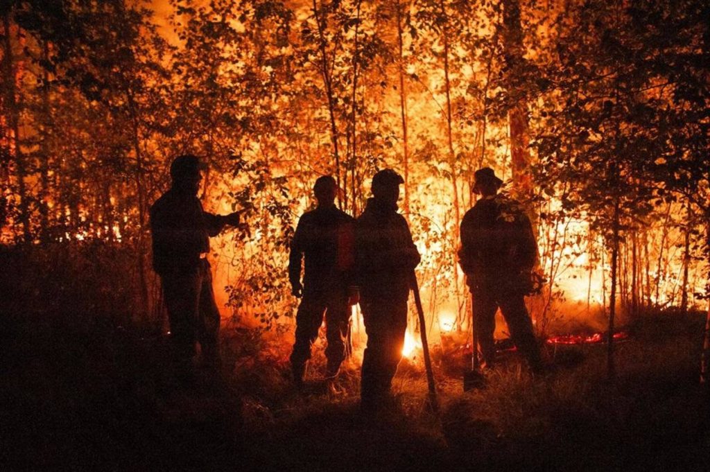 Forest fires raze parts of India amid heat, dry weather